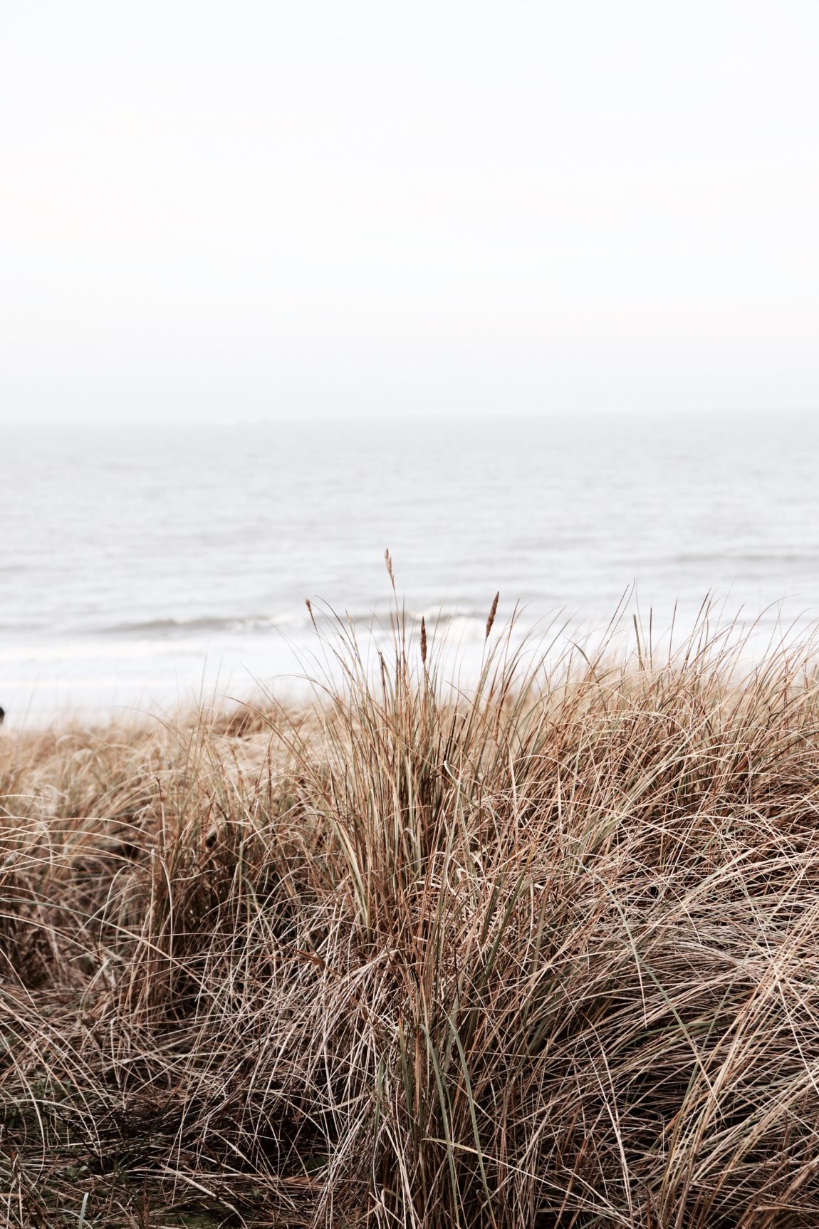 Badepraline on tour, bergen aan zee, meer, Nord holland, holland, travelblogger, travel, reisen, reisen mit Kind