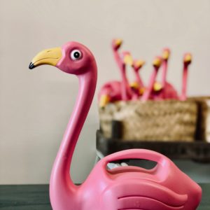 Unschlagbar: Flamingo Gießkanne