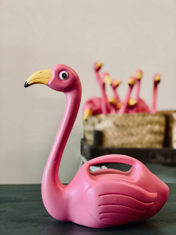 Unschlagbar: Flamingo Gießkanne