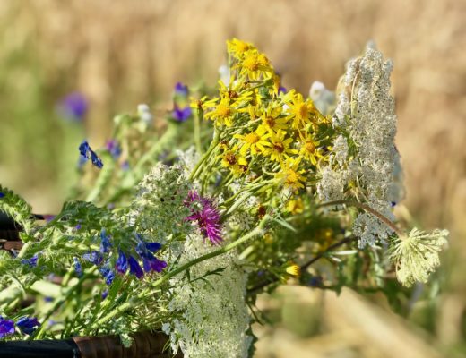 Tschüß - Sommerpause bis September!