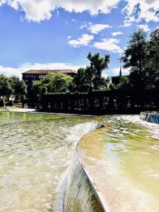 Free Walkingtour in Mannheim