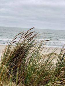 Vitaminsea in Petten aan Zee