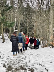 Zertifizierte Kursleiterin im Waldbaden